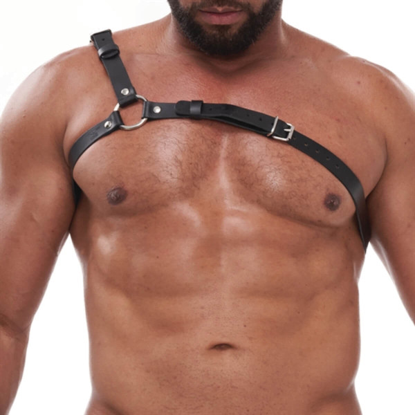 Mister B - Style Harness | Hot Candy English