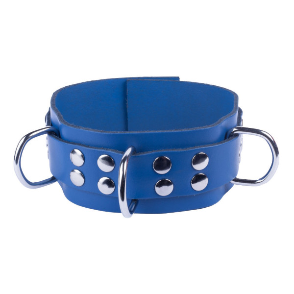 Leather Collar Blue | Hot Candy English
