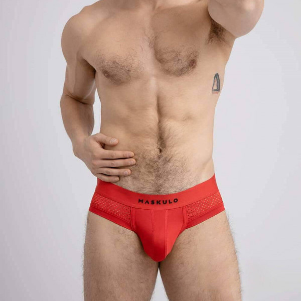 Mesh Brief Red | Hot Candy English