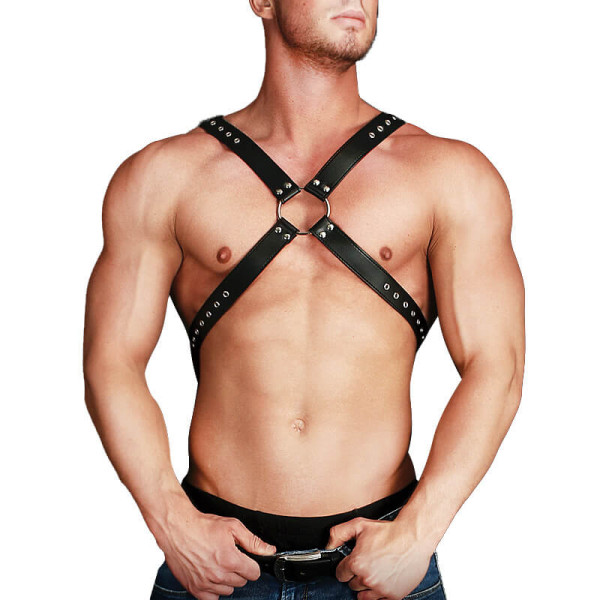 Harness Adonis | Hot Candy English