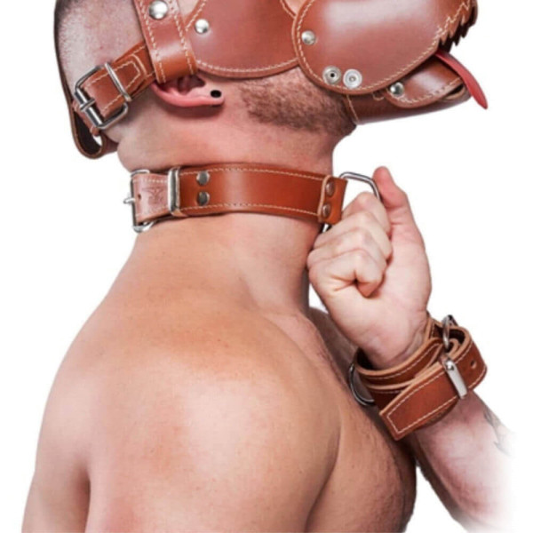 Leather Collar brown | Hot Candy