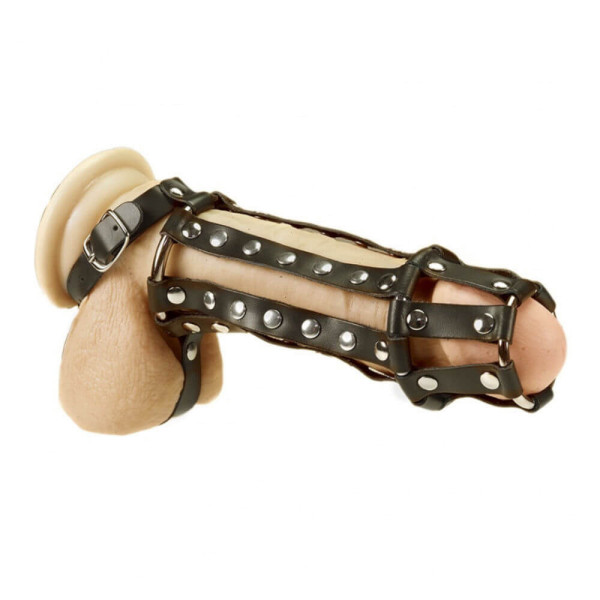 Slick Leather Band With Rivets | Hot Candy English