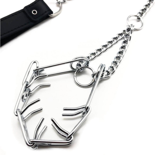 SM Penis Choke Leash with Spikes | Hot Candy English